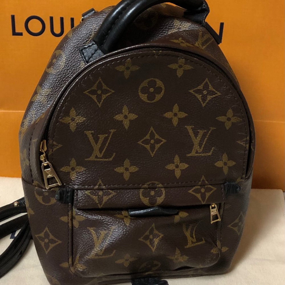 Louis Vuitton Palm Springs mini